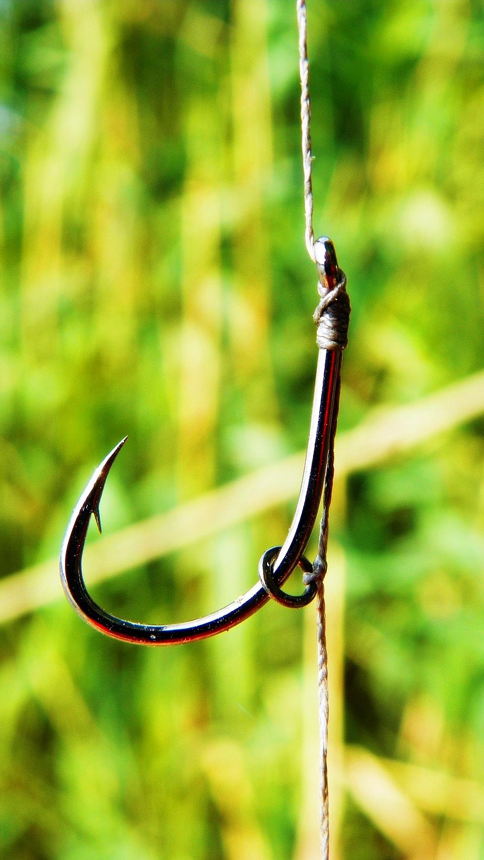 Boiliesmania - 2011 - 1000313.JPG